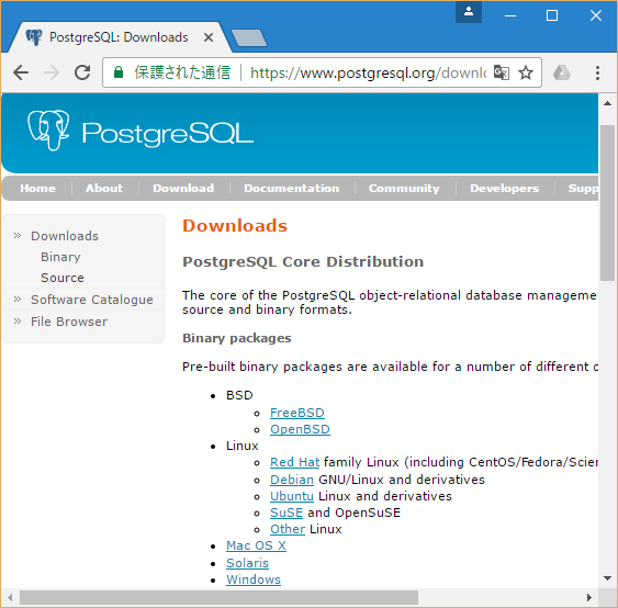 PostgreSQLのインストール方法【Windows】フリーランスエンジニア案件情報 | プロエンジニアpostgre1