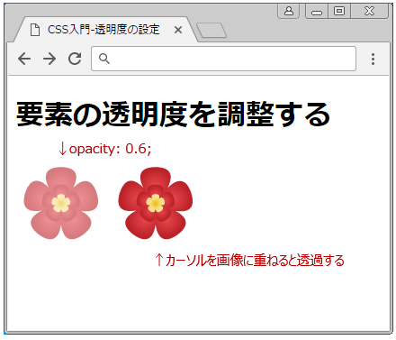 Cssで要素を透明にする方法 サービス プロエンジニア