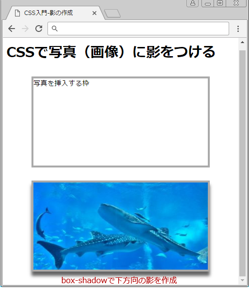 Cssで写真や画像に影をつける方法 Box Shadow プロパティ サービス プロエンジニア