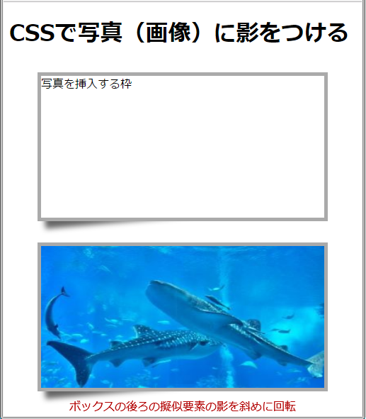 Cssで写真や画像に影をつける方法 Box Shadow プロパティ サービス プロエンジニア