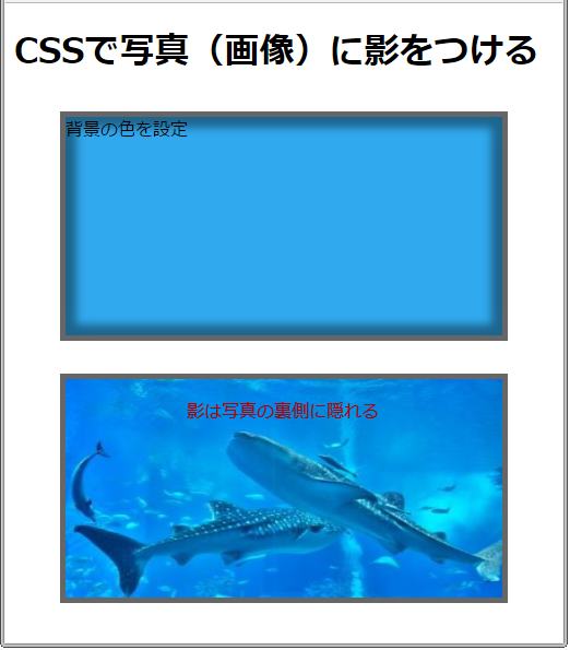 CSSで写真や画像に影をつける方法【box-shadow】プロパティ【フリーランスエンジニア案件情報 | プロエンジニア】