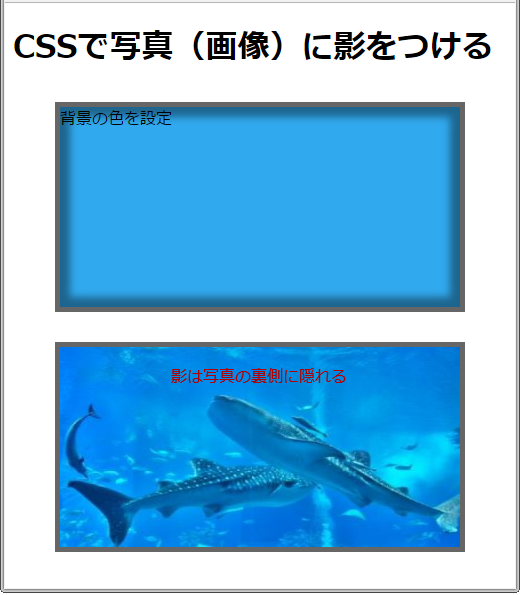 CSSで写真や画像に影をつける方法【box-shadow】プロパティ  サービス 