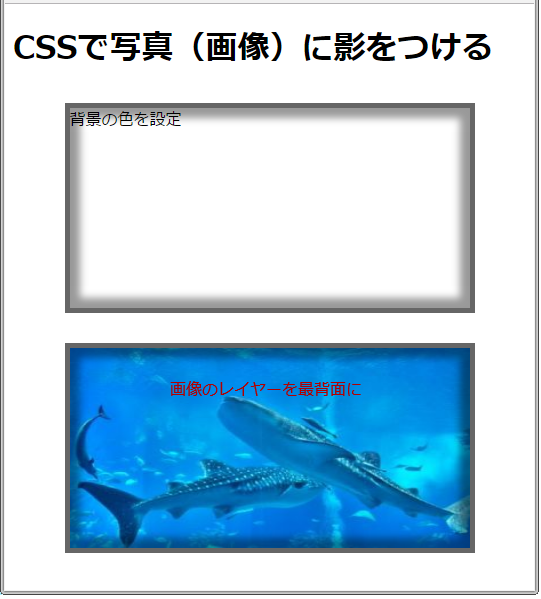 CSSで写真や画像に影をつける方法【box-shadow】プロパティ  サービス 