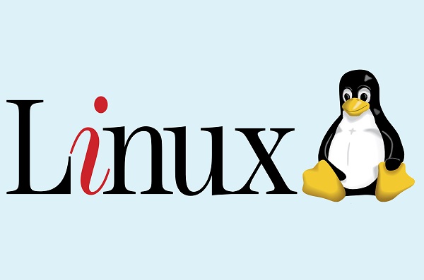 Linuxエンジニアとは？仕事内容や年収、資格、現在の需要などを解説【フリーランスエンジニア案件情報 | プロエンジニア】