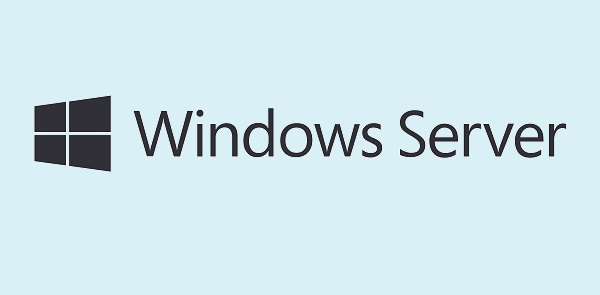 Windows Severとは？使い方やエディションの違い、AWSで構築できるかも解説【フリーランスエンジニア案件情報 | プロエンジニア】